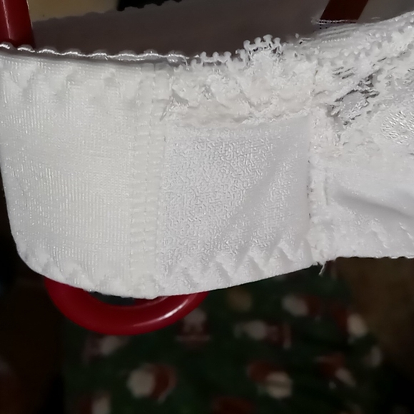 Amica Bra - Picture 6 of 9